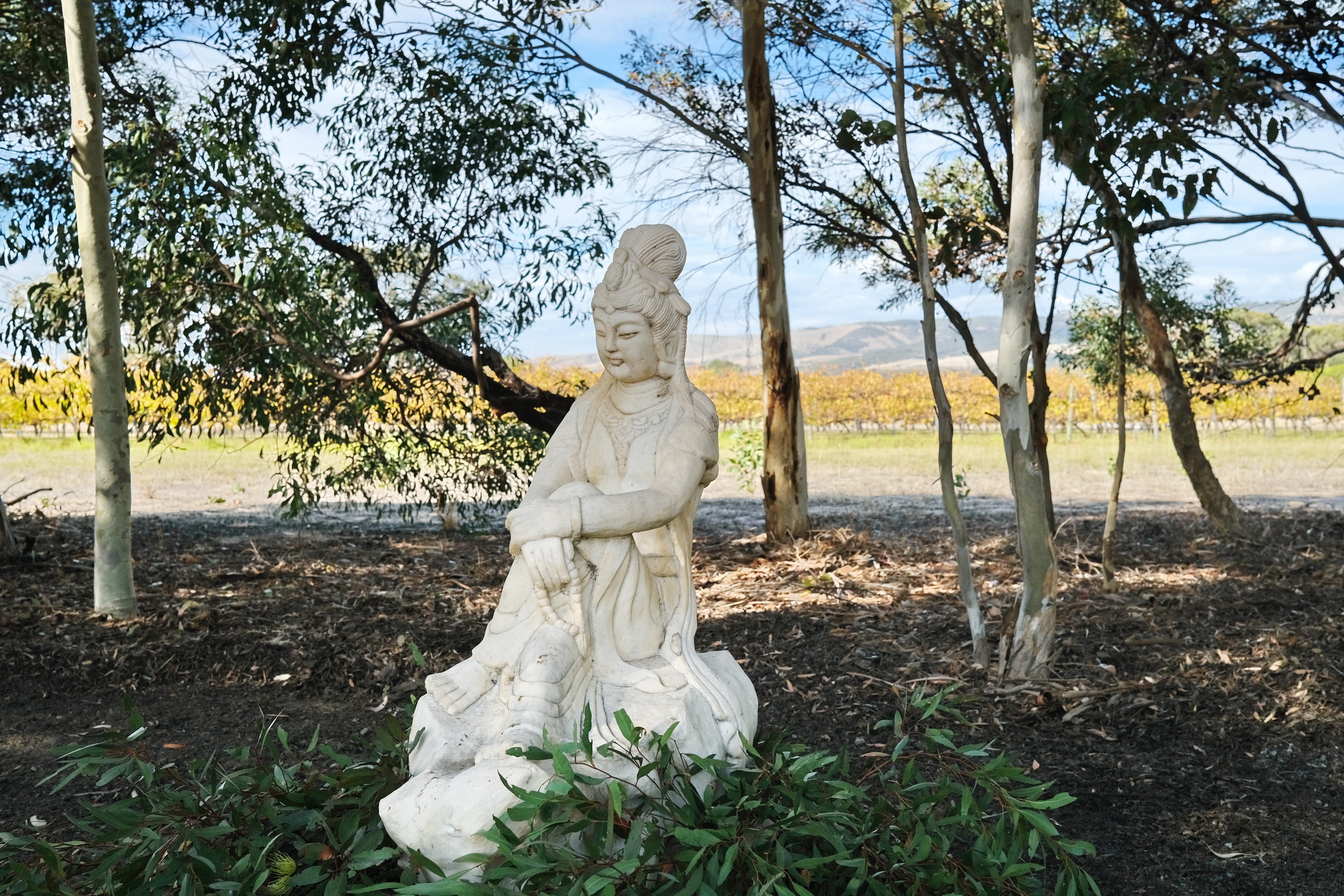 03 y2021m05d01_aldinga_workshop_025