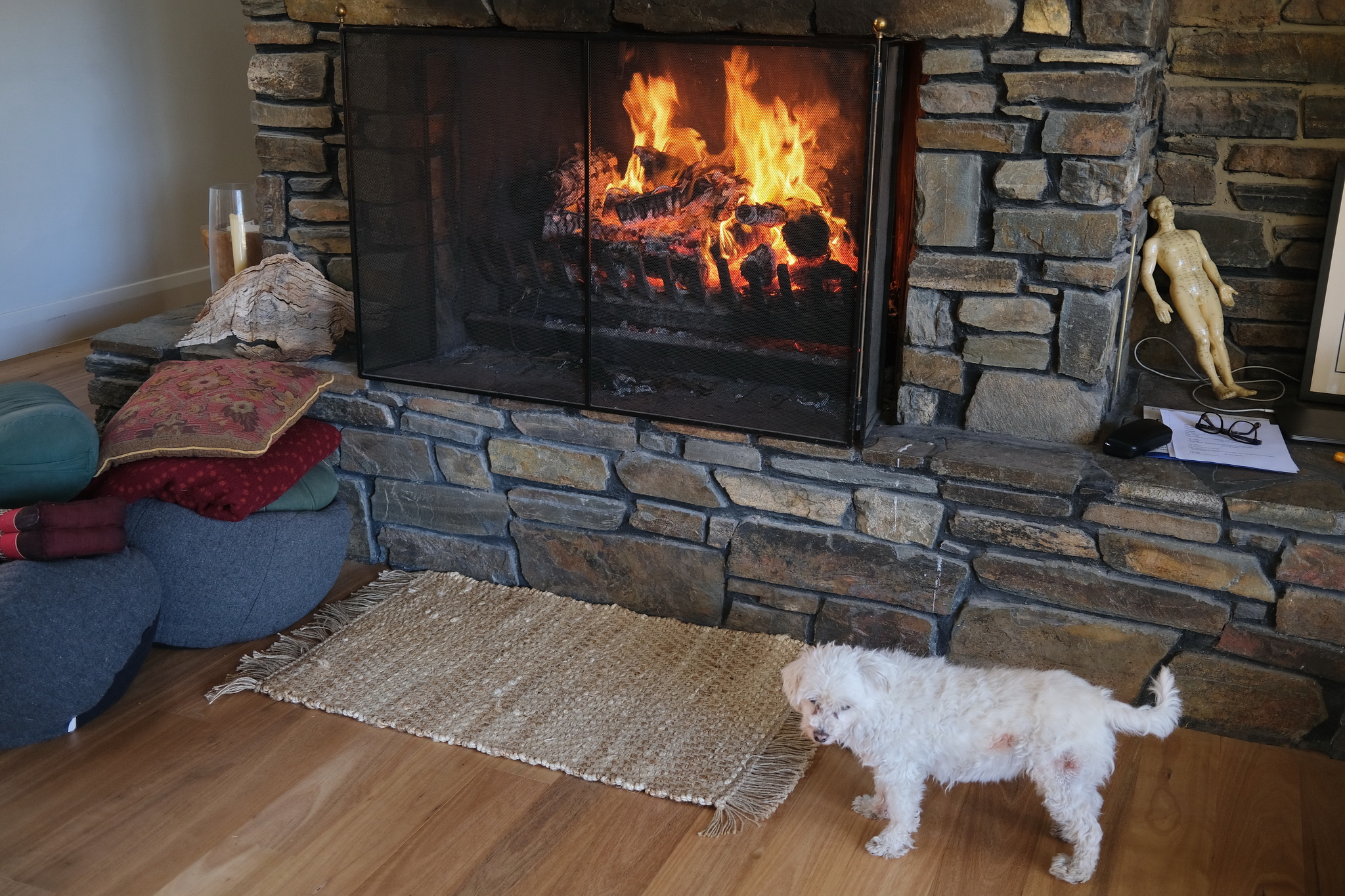 20 y2021m05d01_aldinga_workshop_097