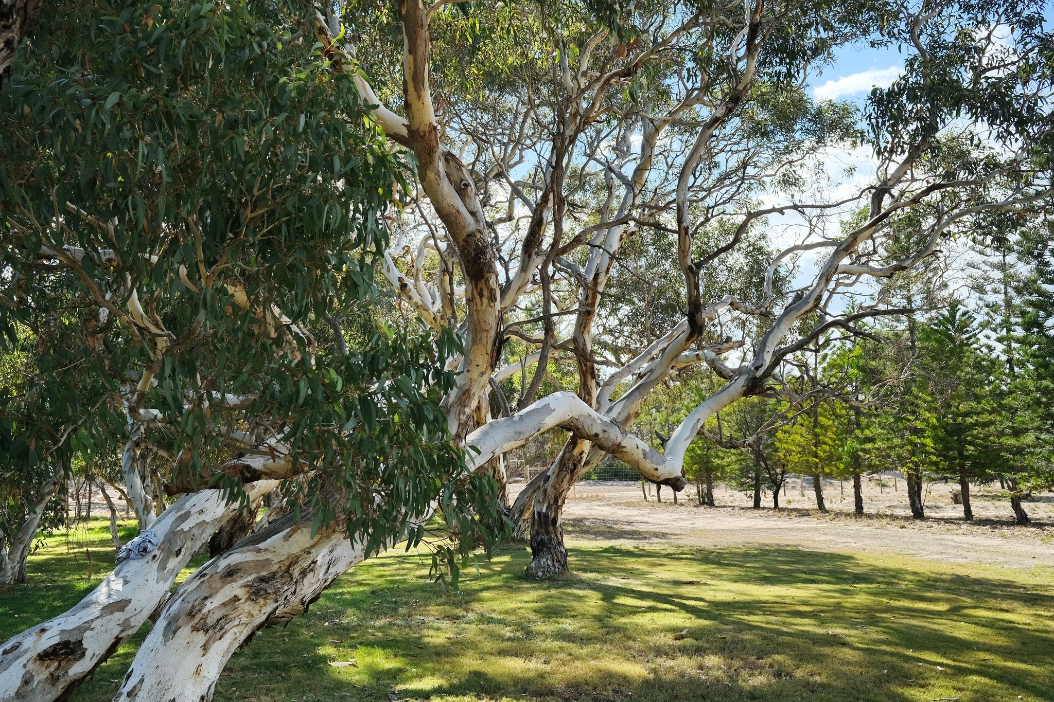 22 y2021m05d01_aldinga_workshop_008