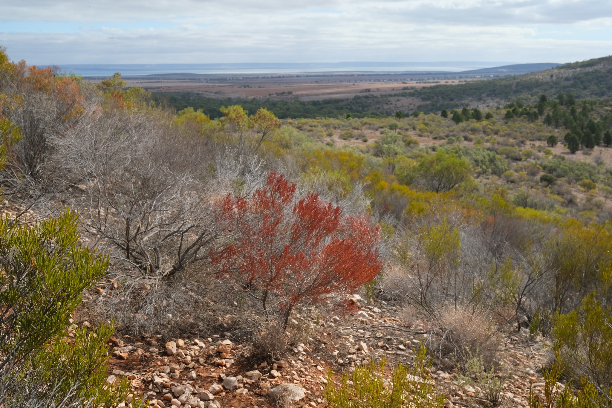 y2021m05d16_crystal_brook_workshop_15