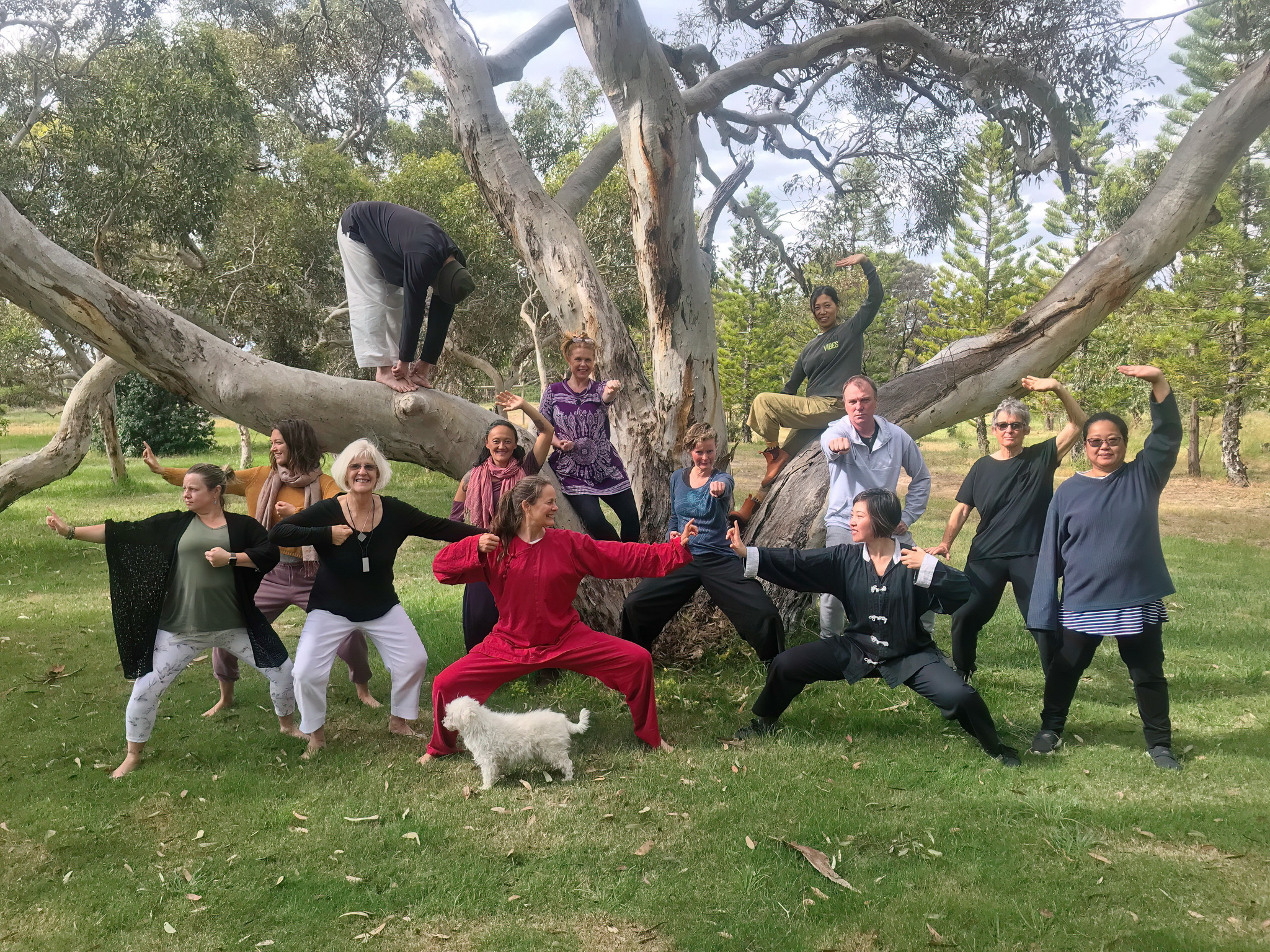 y2022m10d29_ba_duan_jin_01a