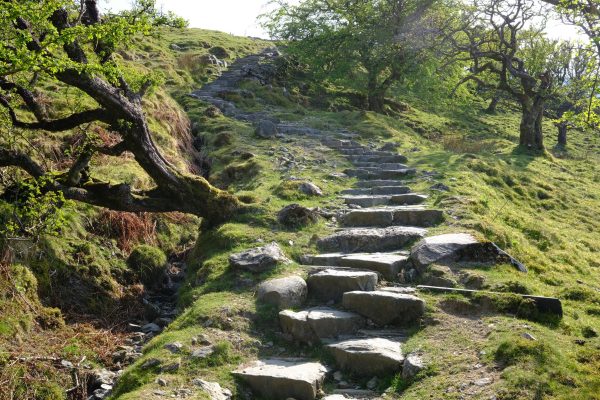 y2022m04d29_01_cader_idris_231
