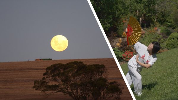 y2025m10d08_newsletter